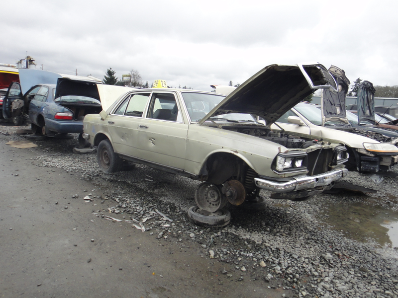 Illustration for article titled PNW Junkyard visit
